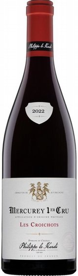 ���� ����� �� ���� - ������ ��� 2022