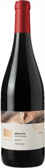 ��� ���� ��� ����