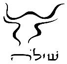 שילה